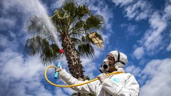 Российский курортный регион меняет правила въезда для отдыхающих