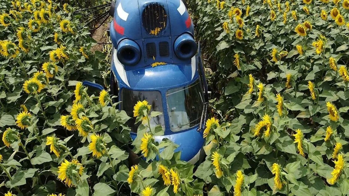 В Новгородской области мотодельтаплан совершил аварийную посадку В Новгородской области мотодельтаплан совершил аварийную посадку