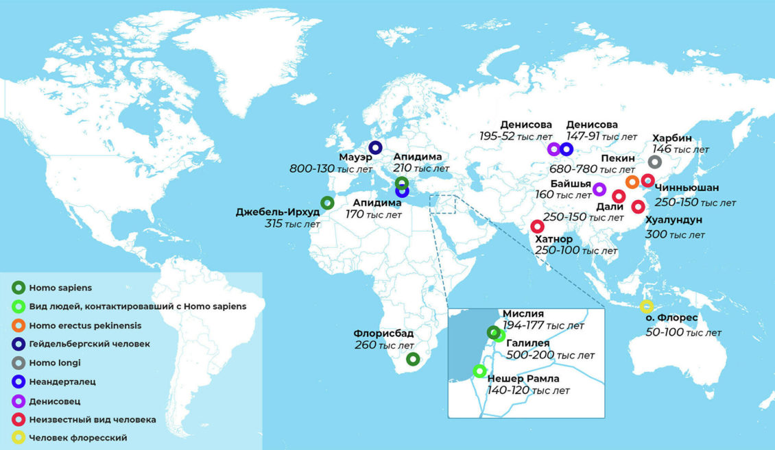 Череп дракона. Китайцы выдали новую версию происхождения Homo sapiens Череп дракона. Китайцы выдали новую версию происхождения Homo sapiens
