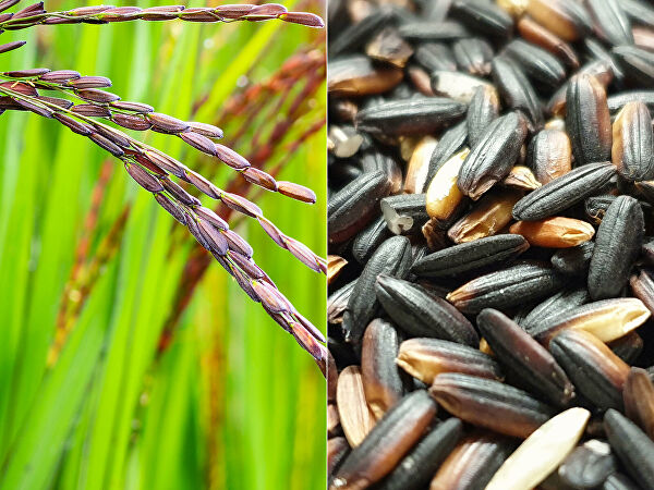 Древние продукты для здоровья и похудения. Насколько они полезны