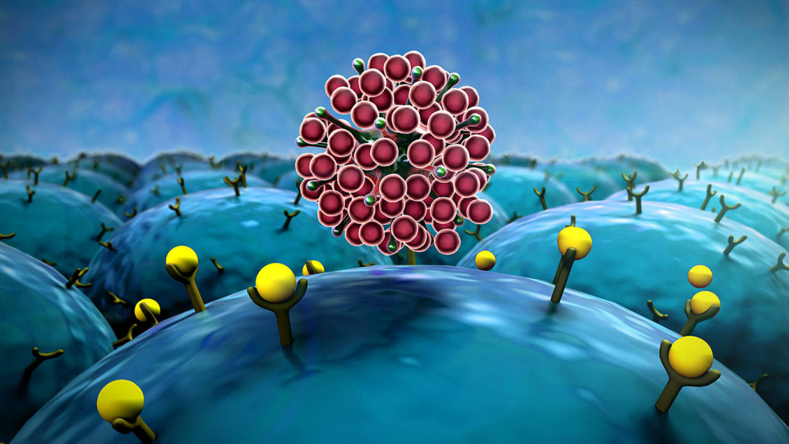 "Вектор" рассказал о случаях заражения бразильским штаммом коронавируса "Вектор" рассказал о случаях заражения бразильским штаммом коронавируса