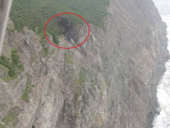 Появились кадры с места крушения Ан-26 на Камчатке (ВИДЕО)