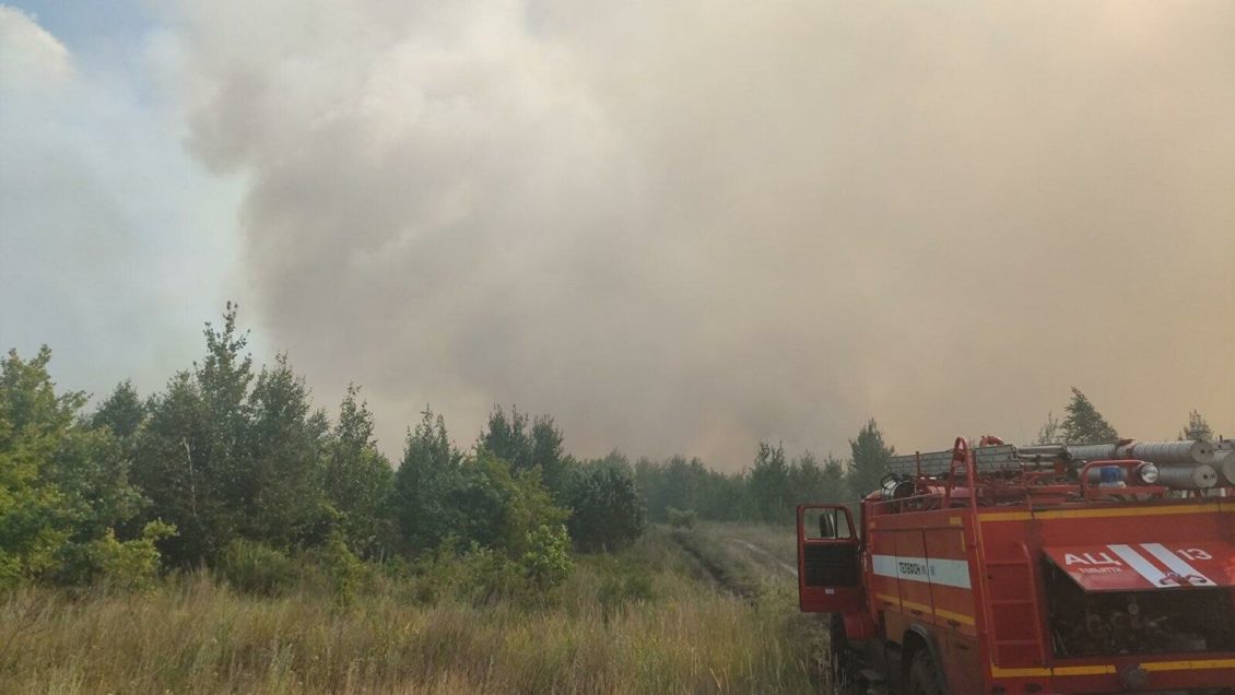 В Тольятти завели уголовное дело после природного пожара 