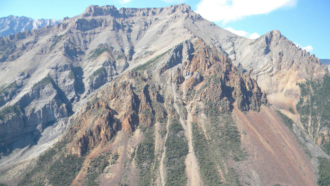 Ученые объяснили, как птицы пережили вымерших динозавров Ученые объяснили, как птицы пережили вымерших динозавров