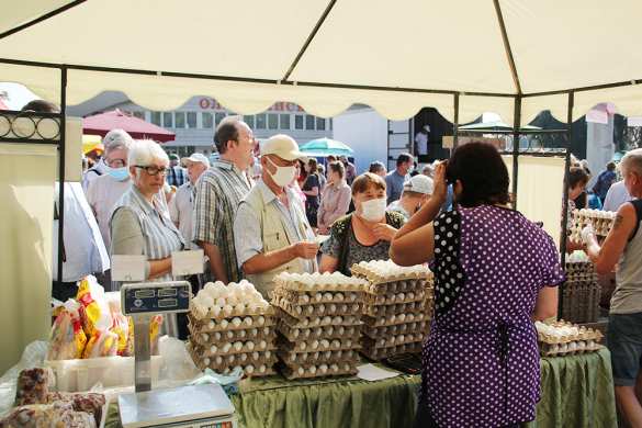 Глава ДНР проинспектировал продовольственную ярмарку в Донецке (ФОТО)