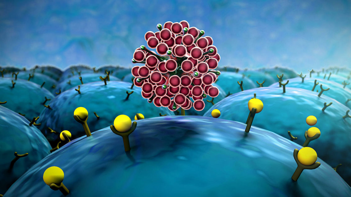 В Приморье назвали стоимость вакцинации от COVID-19 для иностранцев В Приморье назвали стоимость вакцинации от COVID-19 для иностранцев