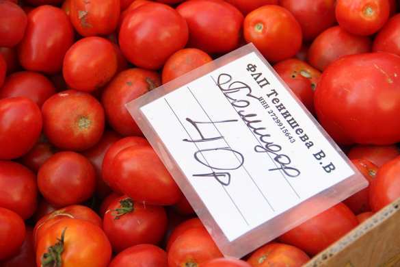 Глава ДНР проинспектировал продовольственную ярмарку в Донецке (ФОТО)