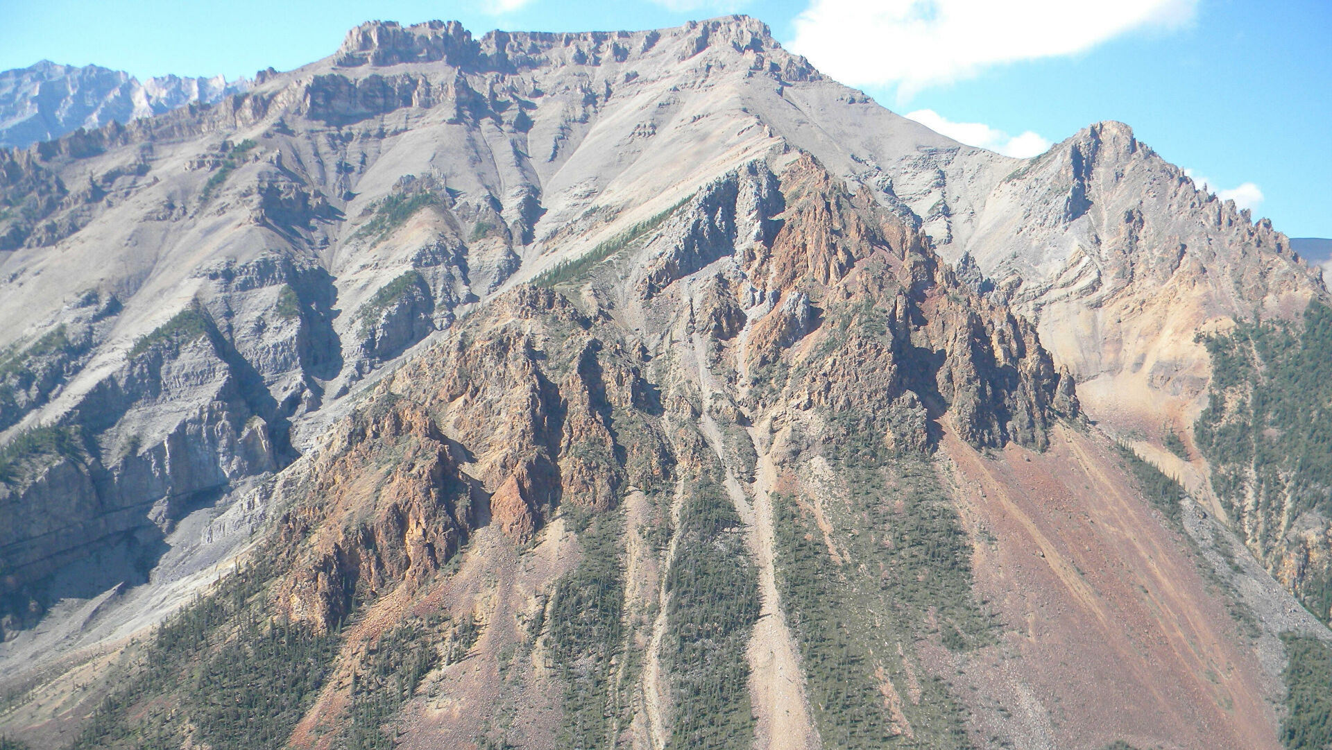 Палеонтологи обнаружили три новых вида ранних млекопитающих Палеонтологи обнаружили три новых вида ранних млекопитающих