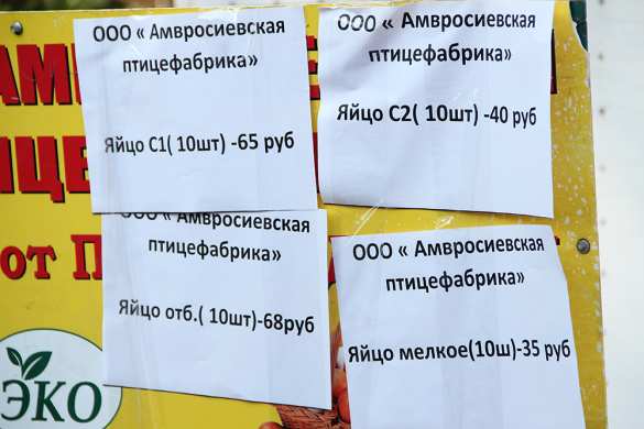 Глава ДНР проинспектировал продовольственную ярмарку в Донецке (ФОТО)