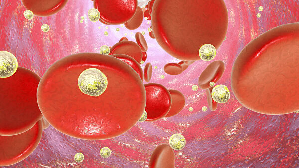 В России изучили поведение наночастиц в живых клетках В России изучили поведение наночастиц в живых клетках