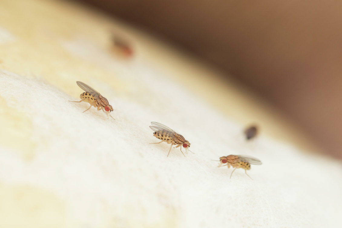 Мертвая петля. Ученые назвали признаки приближающейся смерти