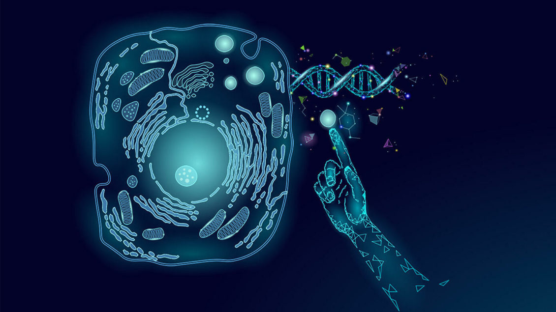 Разжиться чужим. Ученые выяснили, у кого есть ген защиты от токсинов Разжиться чужим. Ученые выяснили, у кого есть ген защиты от токсинов