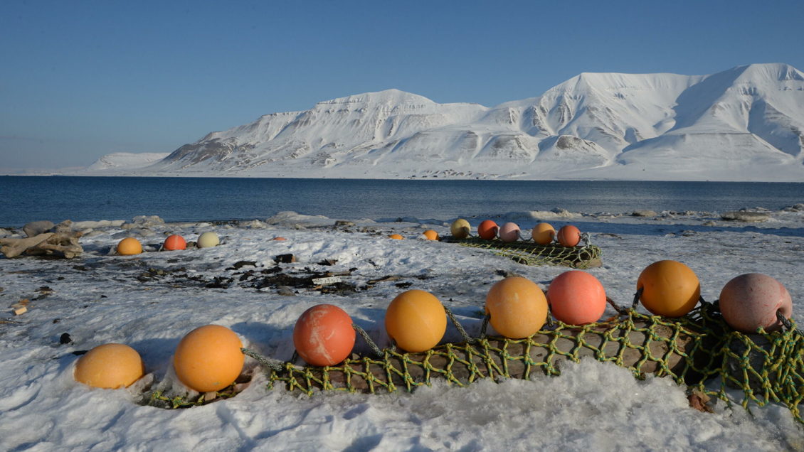 На Ямале заработала первая в России лаборатория криологии Земли На Ямале заработала первая в России лаборатория криологии Земли