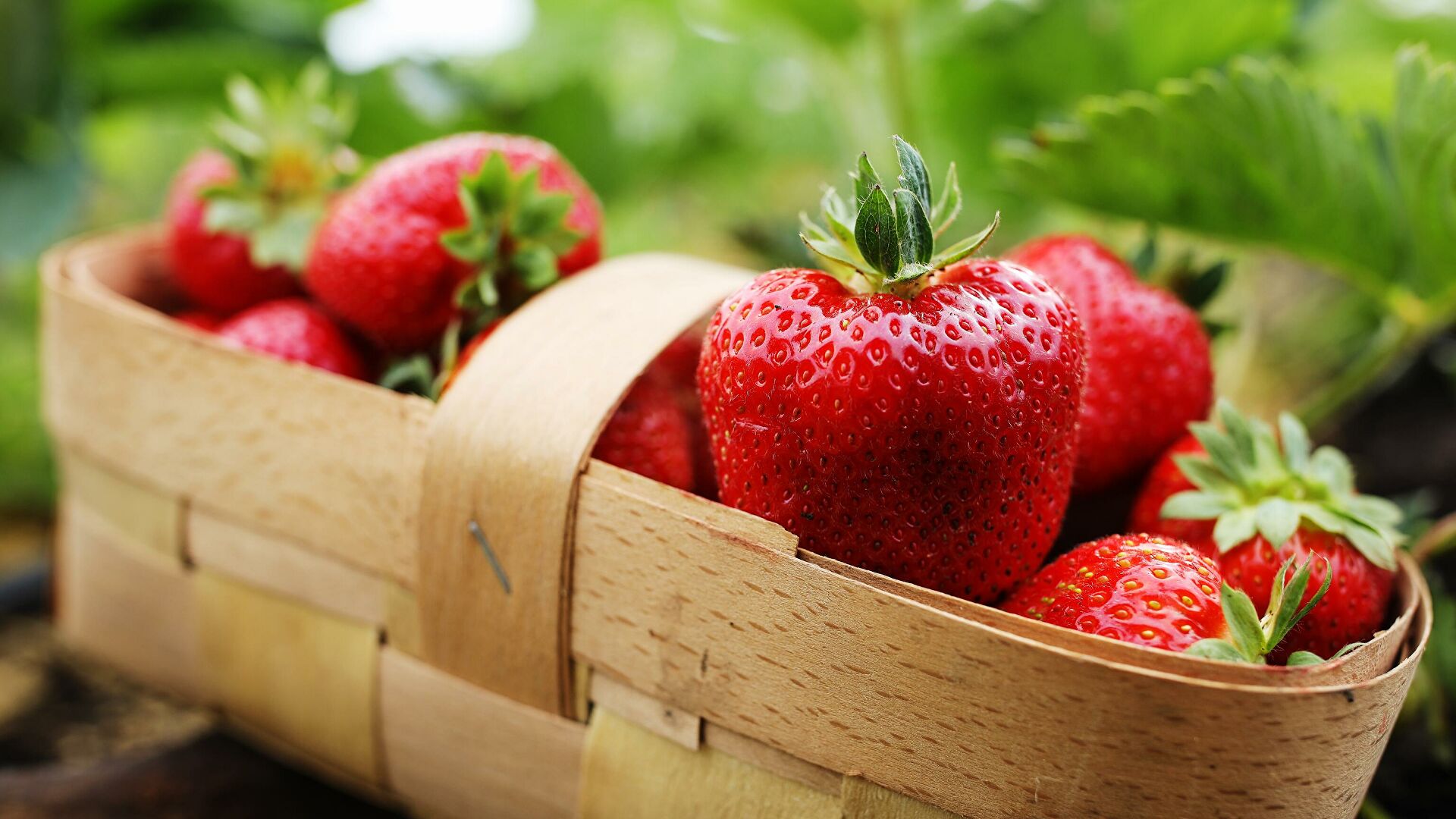 Ученые назвали витамин, защищающий от атеросклероза Ученые назвали витамин, защищающий от атеросклероза