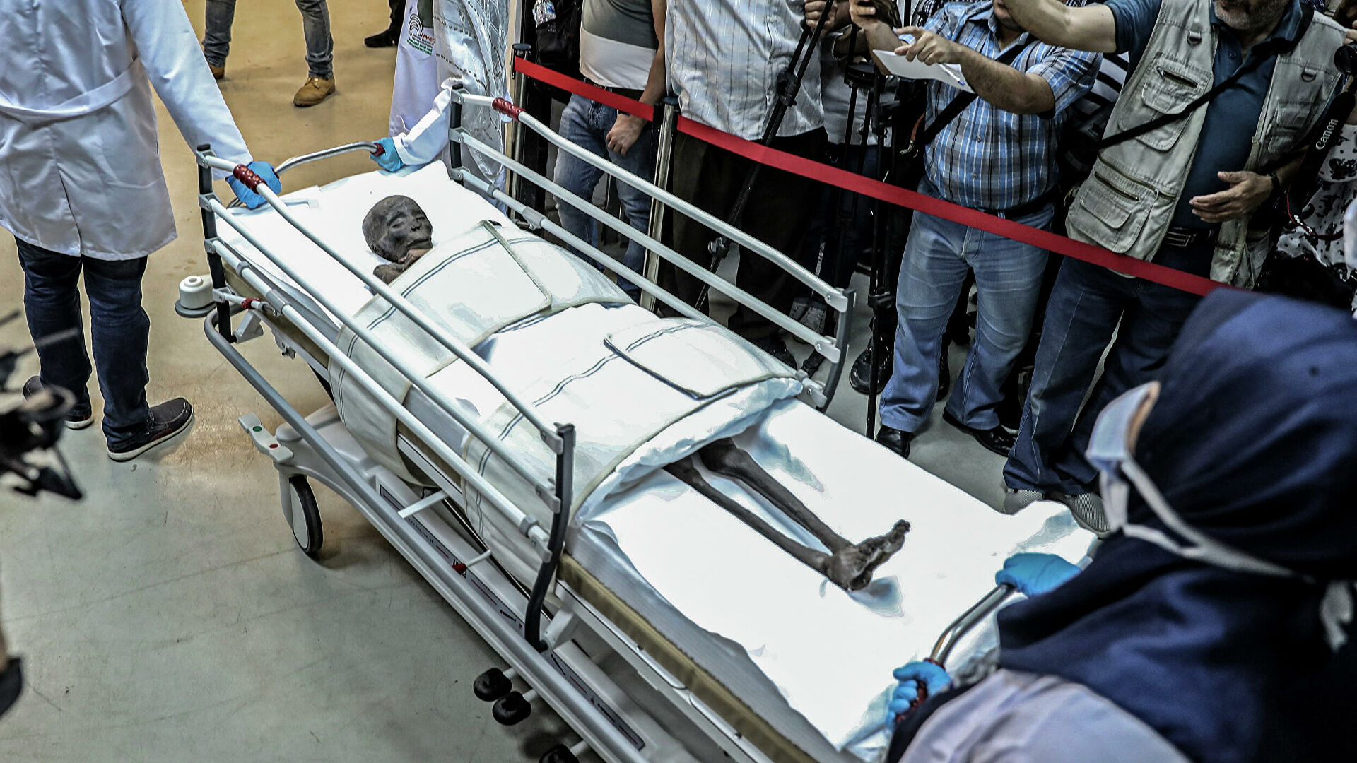 Иммунитет попутал. Названа прививка с необычными побочными эффектами Иммунитет попутал. Названа прививка с необычными побочными эффектами