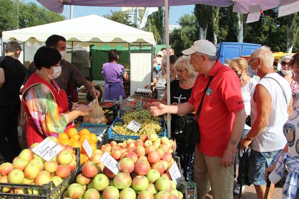 Глава ДНР проинспектировал продовольственную ярмарку в Донецке (ФОТО)