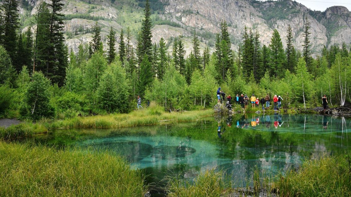 Новый метод защиты лесов создали ученые России и Болгарии Новый метод защиты лесов создали ученые России и Болгарии