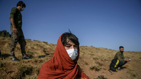 Британские военные отказались эвакуировать двести собак и кошек из Кабула Британские военные отказались эвакуировать двести собак и кошек из Кабула