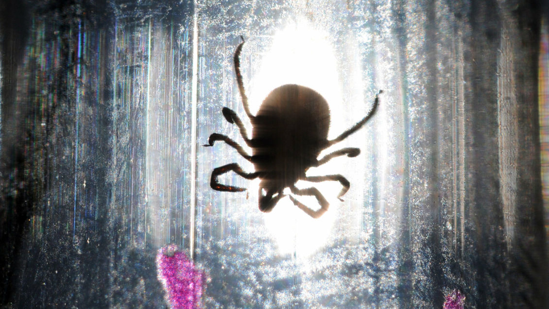 Ученые нашли микробов, изучение которых поможет исправить мутации ДНК Ученые нашли микробов, изучение которых поможет исправить мутации ДНК