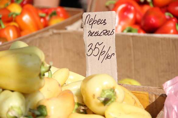 Глава ДНР проинспектировал продовольственную ярмарку в Донецке (ФОТО)