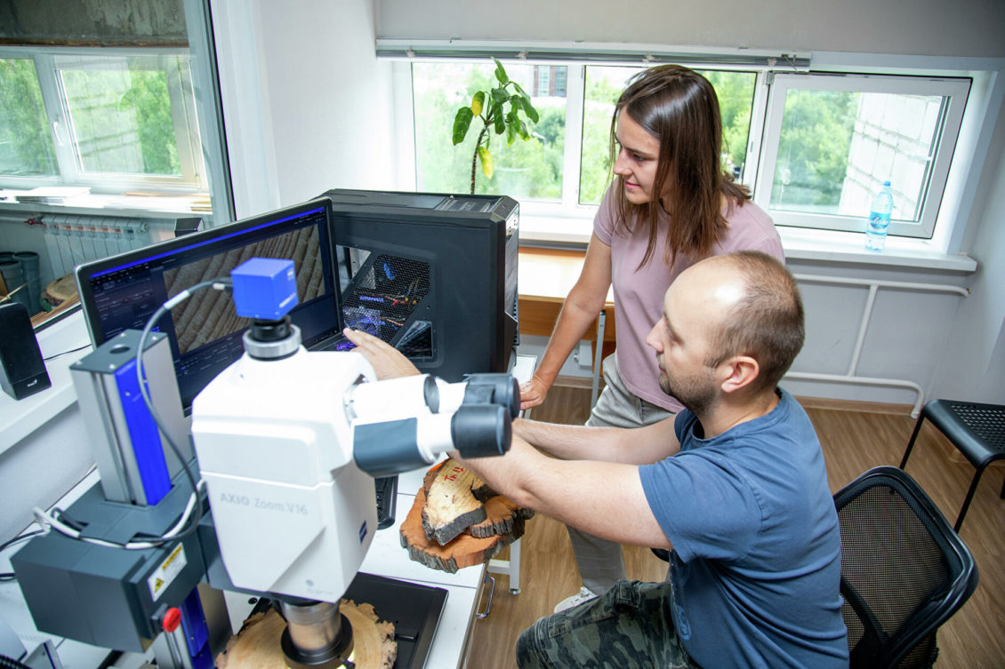 Новый метод защиты лесов создали ученые России и Болгарии Новый метод защиты лесов создали ученые России и Болгарии