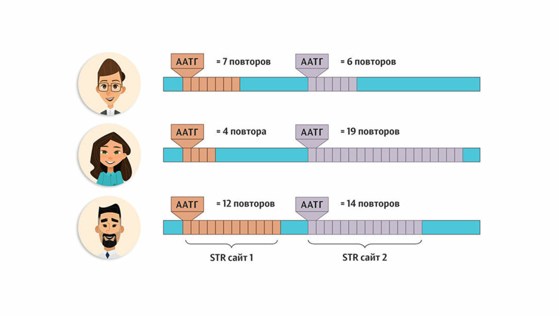 Детоубийцы, сгоревшие трупы и ДНК: как выходят на след опасных преступников Детоубийцы, сгоревшие трупы и ДНК: как выходят на след опасных преступников