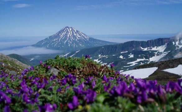 Японцы призвали начать «действовать безжалостно» в ситуации с Курилами Японцы призвали начать «действовать безжалостно» в ситуации с Курилами