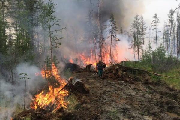 Минприроды предложили сообщать больше данных о лесных пожарах Минприроды предложили сообщать больше данных о лесных пожарах