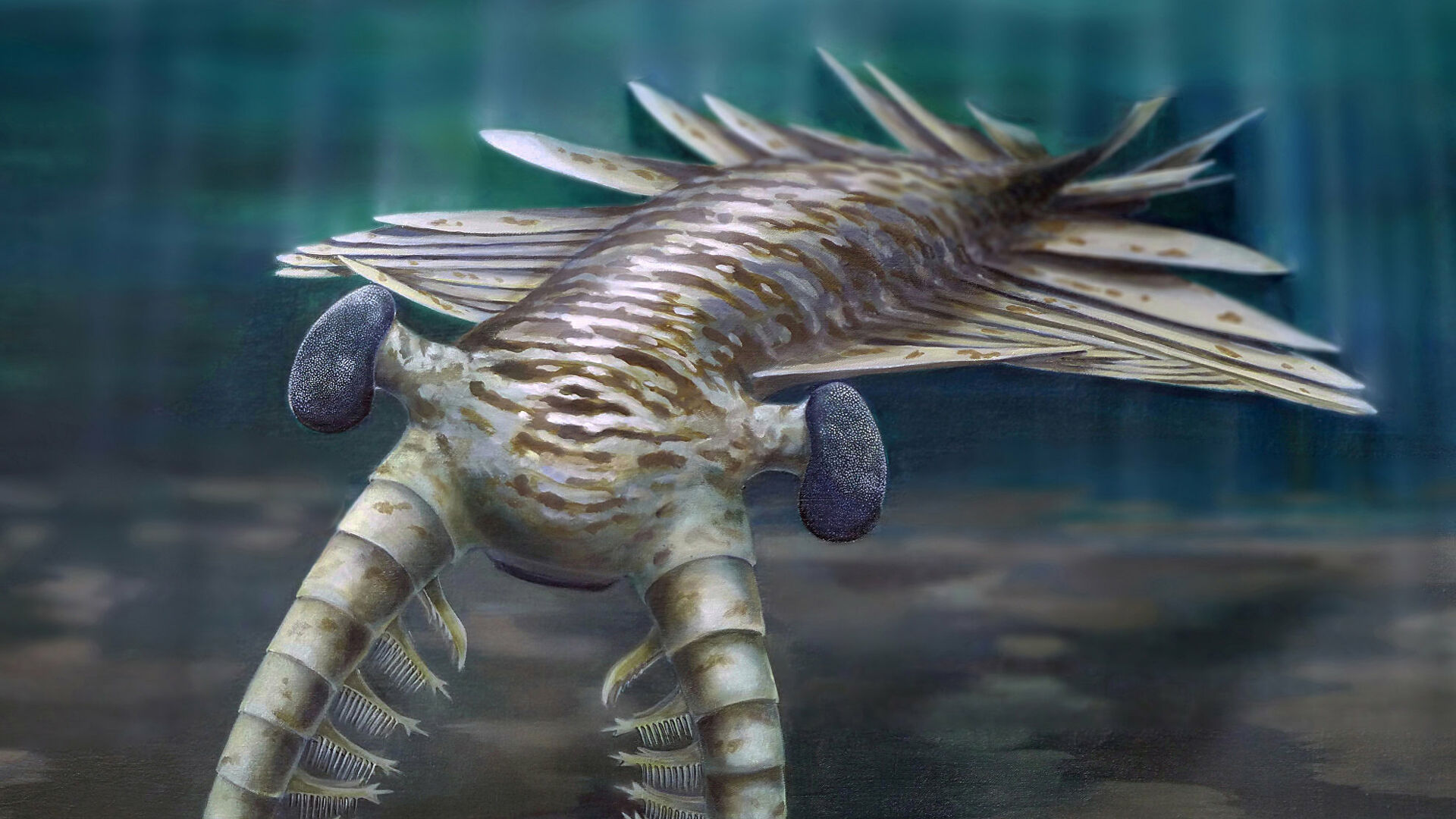 "Все сходится": ученые уверены, что нашли древнейшее существо на Земле "Все сходится": ученые уверены, что нашли древнейшее существо на Земле