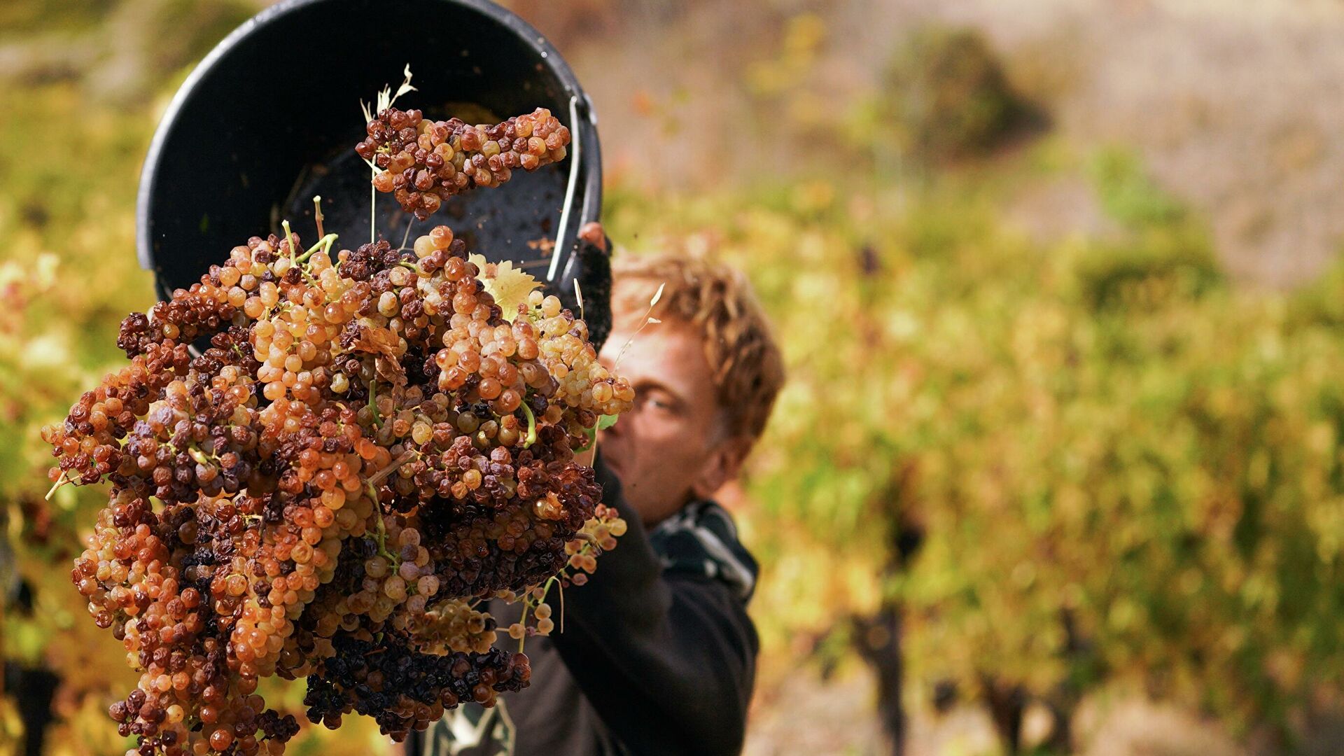 И по качеству, и по цене российское шампанское вытесняет конкурентов