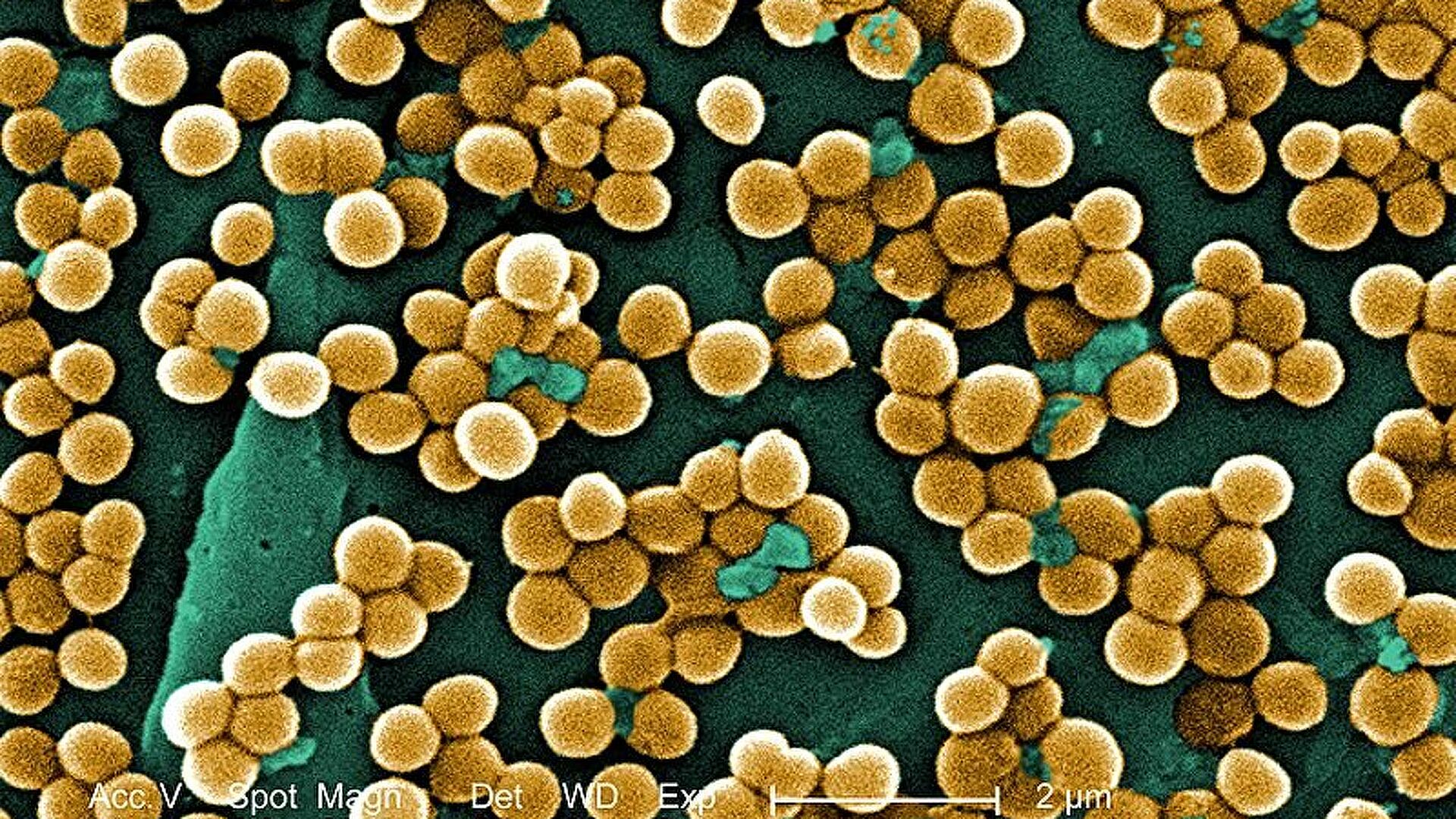 Ученые открыли, когда одно из самых популярных лекарств ведет к раку Ученые открыли, когда одно из самых популярных лекарств ведет к раку