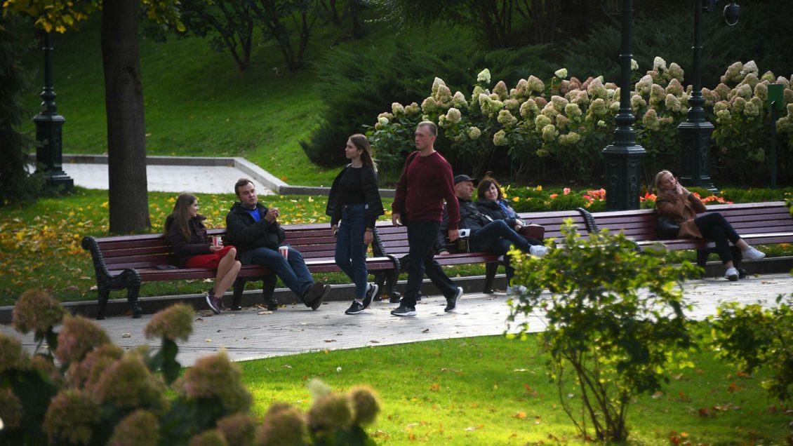 В Москве и области объявили желтый уровень погодной опасности из-за ветра