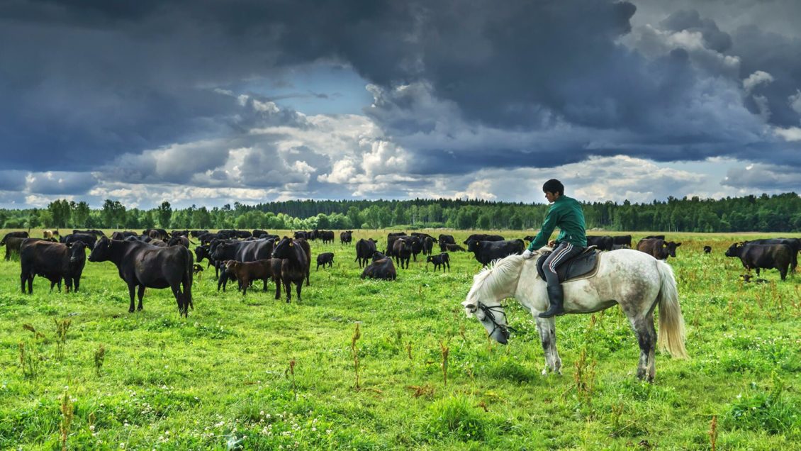 "Школа фермеров" появится в Ленобласти