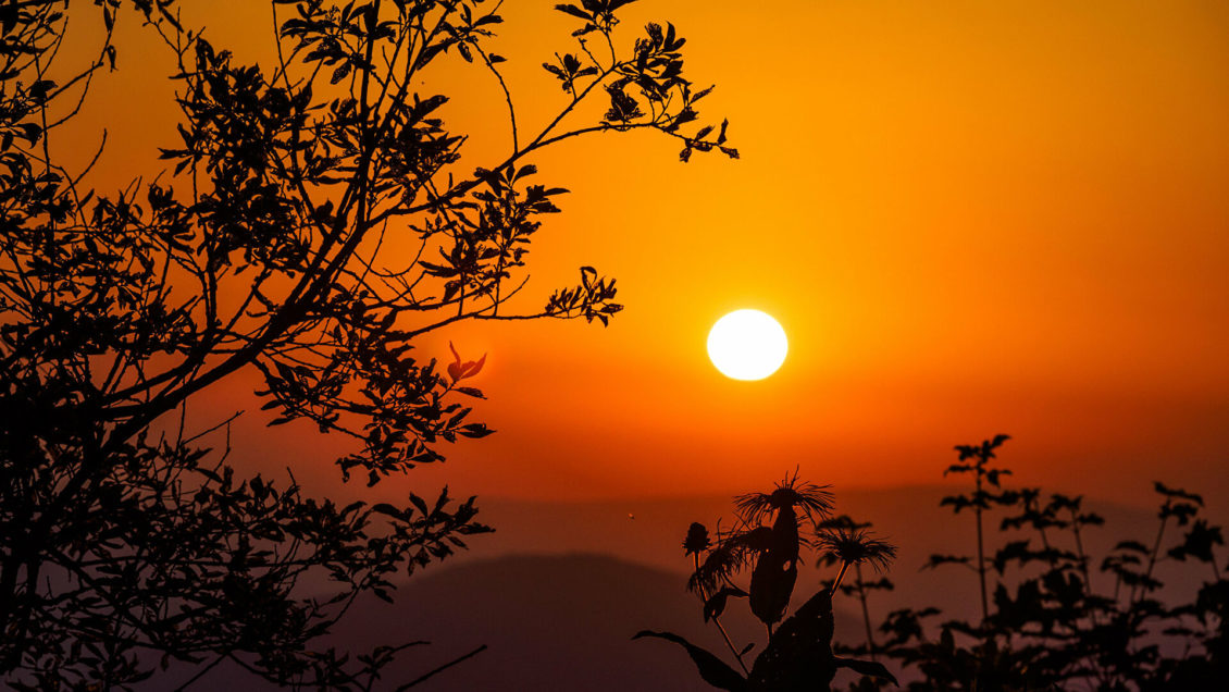 Ученый объяснил, какого цвета Солнце Ученый объяснил, какого цвета Солнце