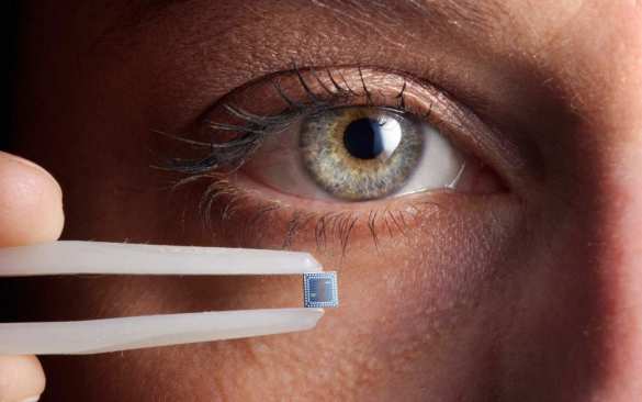 В России начнут научно-исследовательские работы по чипированию