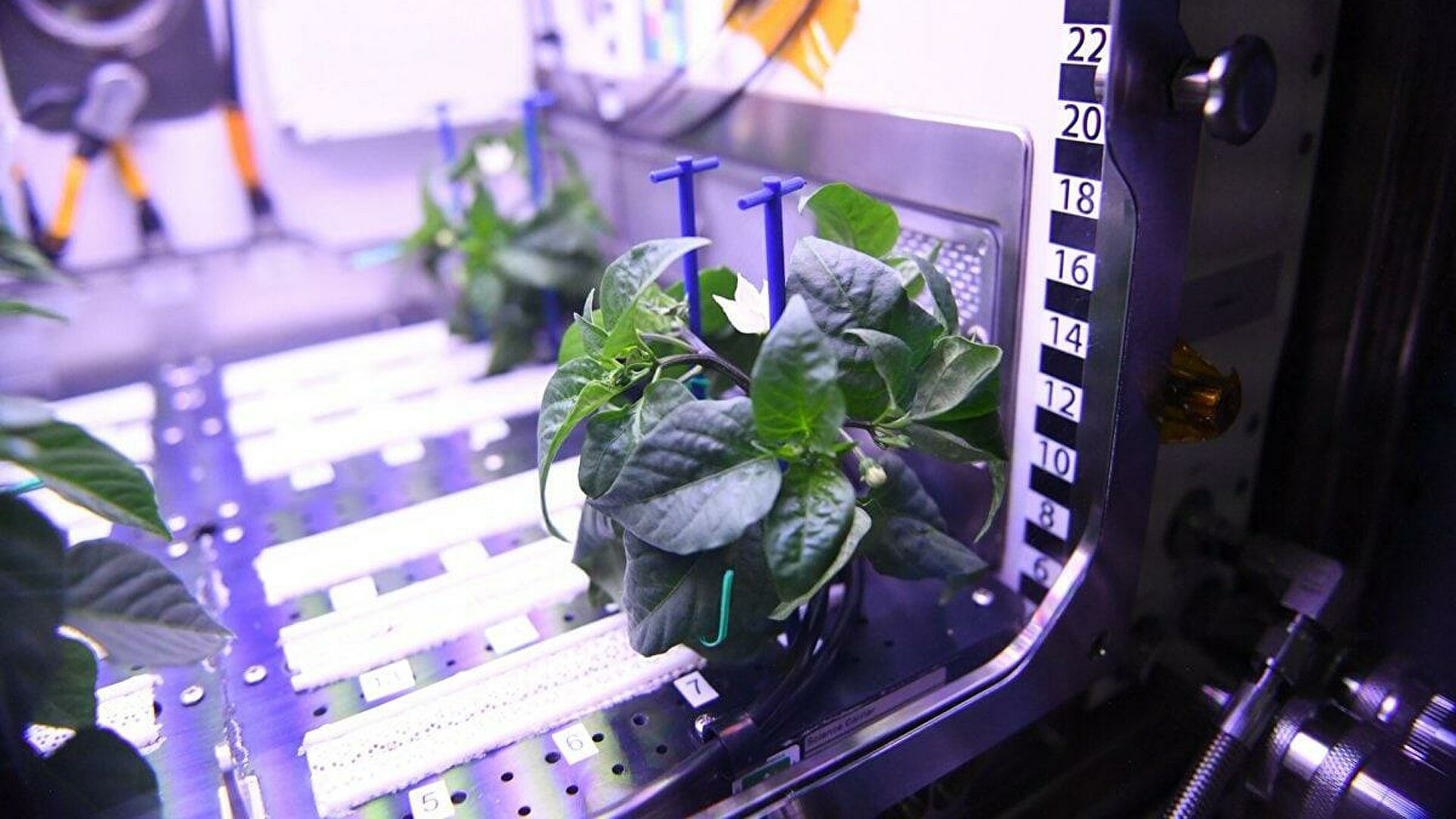 Двое астронавтов завершили семичасовую работу в открытом космосе Двое астронавтов завершили семичасовую работу в открытом космосе