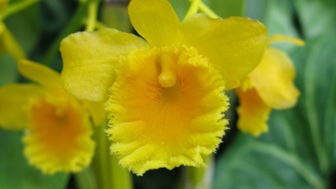 Ученые выяснили, как снизить вред красного мяса Ученые выяснили, как снизить вред красного мяса