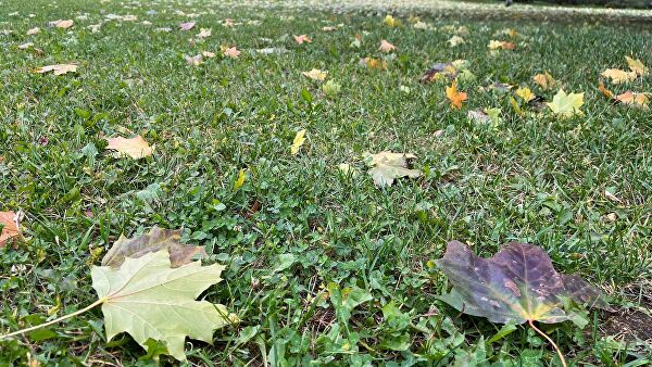 Экспертный обзор iPhone 13: шесть особенностей нового смартфона Apple