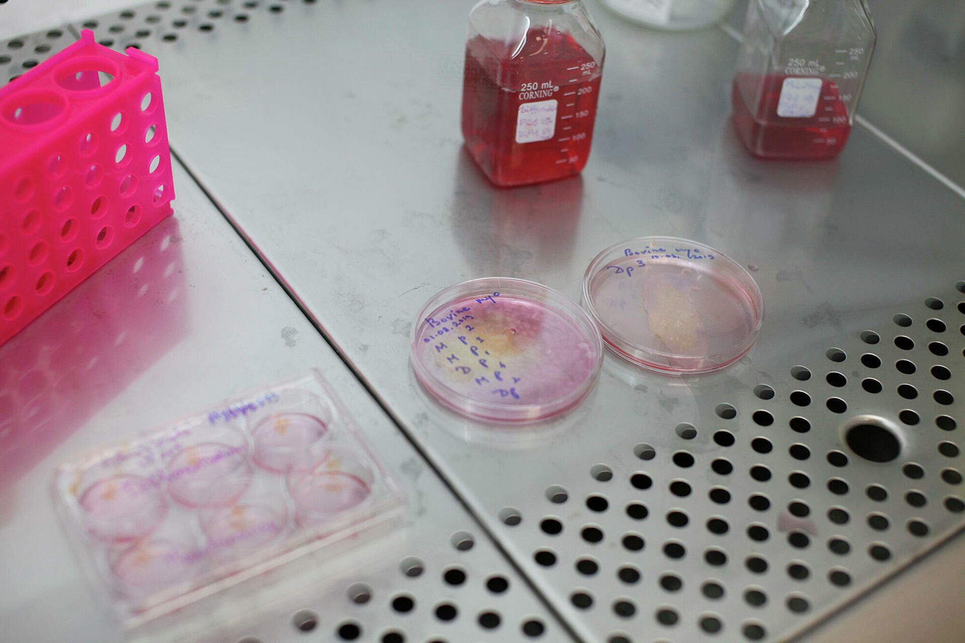 Как настоящие. На прилавках появится искусственно созданная еда Как настоящие. На прилавках появится искусственно созданная еда