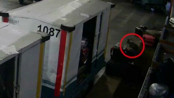 Прокуратура проверит задержку рейсов "Уральских авиалиний" в Домодедово Прокуратура проверит задержку рейсов "Уральских авиалиний" в Домодедово