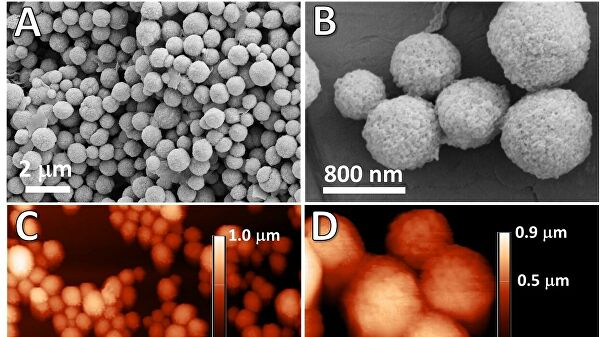 Ученые из России создали универсальное средство лечения рака Ученые из России создали универсальное средство лечения рака
