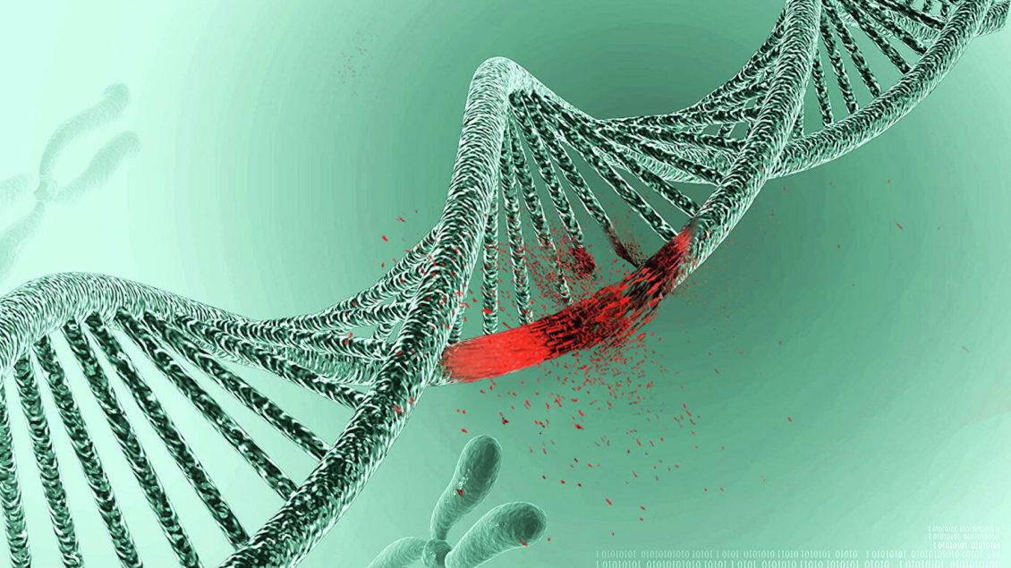 Ученые определили генетические отличия человека от других млекопитающих Ученые определили генетические отличия человека от других млекопитающих