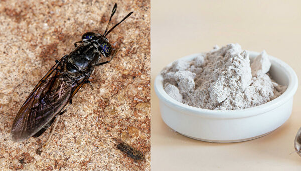 Как настоящие. На прилавках появится искусственно созданная еда Как настоящие. На прилавках появится искусственно созданная еда