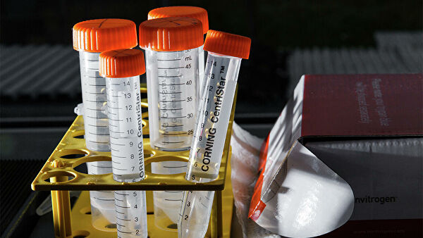 ВОЗ рекомендовала пациентам с COVID-19 из группы риска лечение антителами ВОЗ рекомендовала пациентам с COVID-19 из группы риска лечение антителами