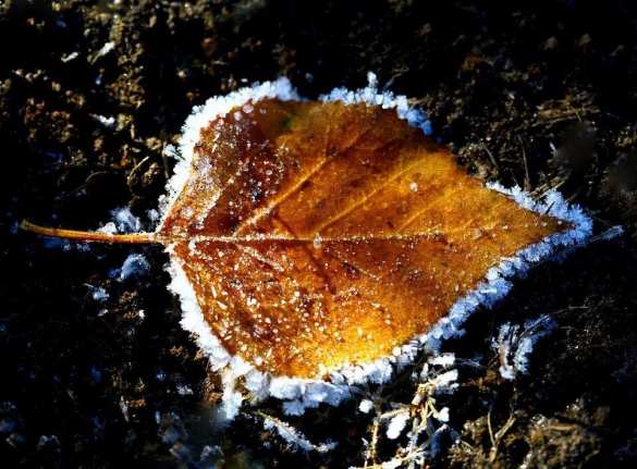 Осень, октябрь, зима близко — Сатановский о мировой общественности, о России и жалобах на неё