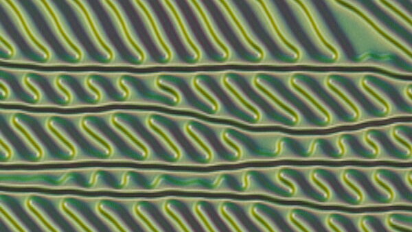 Российская разработка поможет создать новое поколение ЖК-техники Российская разработка поможет создать новое поколение ЖК-техники