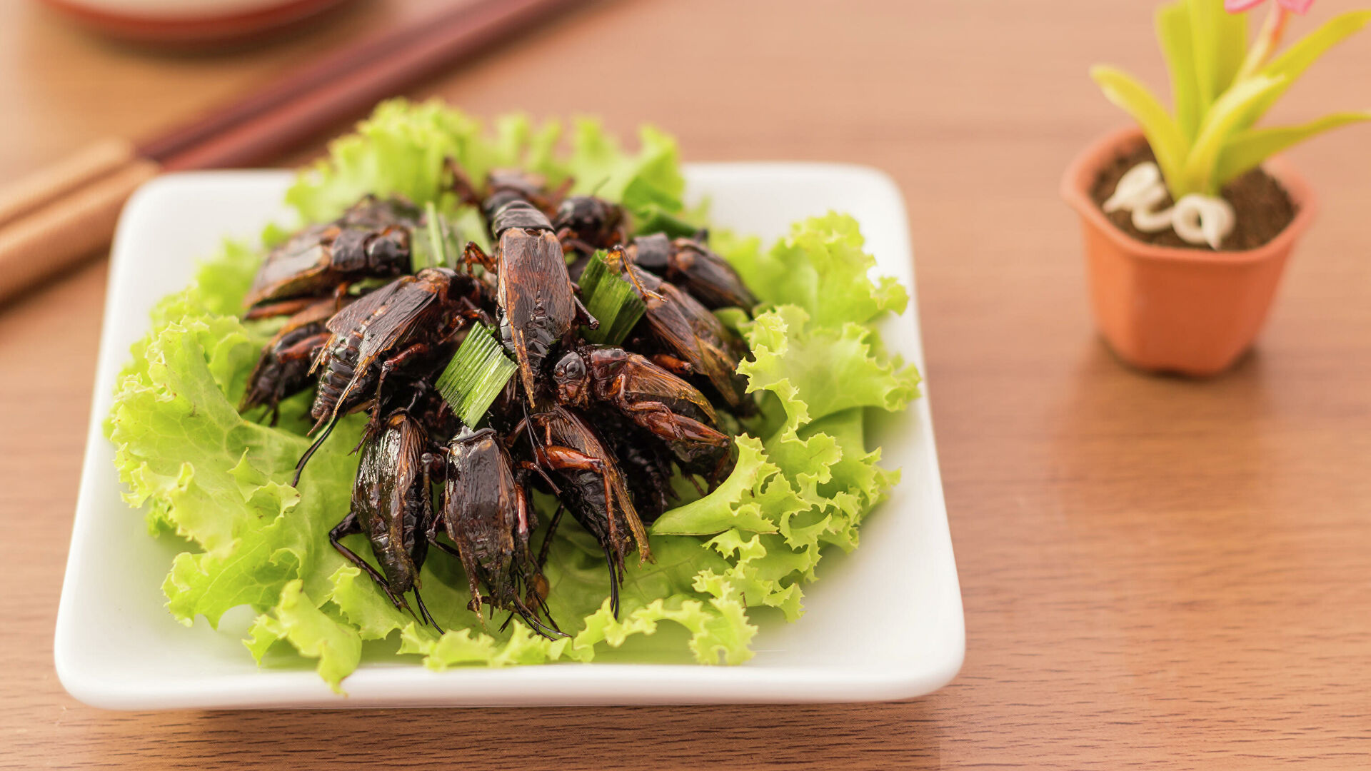 Как настоящие. На прилавках появится искусственно созданная еда Как настоящие. На прилавках появится искусственно созданная еда