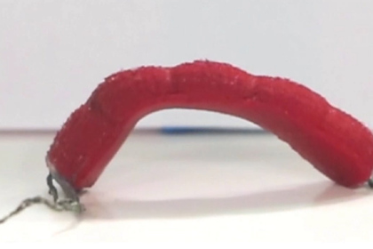 Ученые разработали роботов-червей Ученые разработали роботов-червей