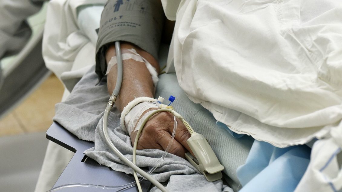 В России выявили два гена, отвечающих за развитие редких заболеваний сердца