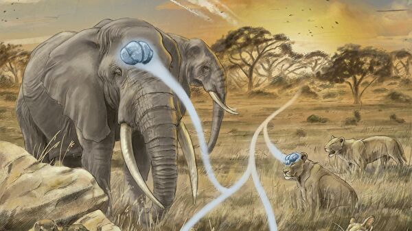 Ученые выяснили, почему уменьшился мозг современного человека